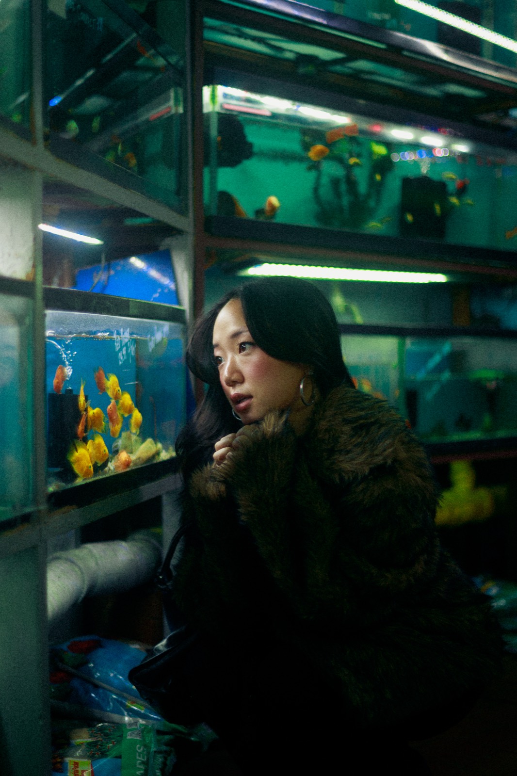 In front of a fish tank